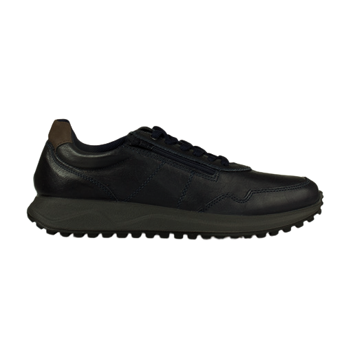 Navy leather trainer laced on a white background