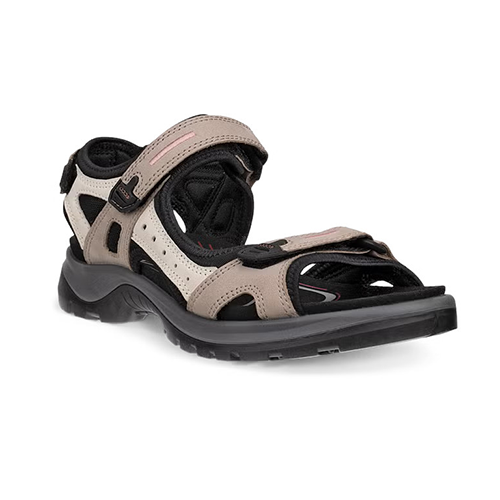 Beige and black sandal on a white background