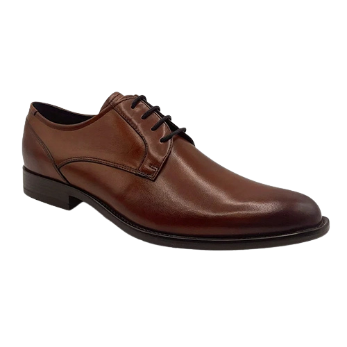 Dubarry Mens Laced Shoes - Darrel - Whiskey