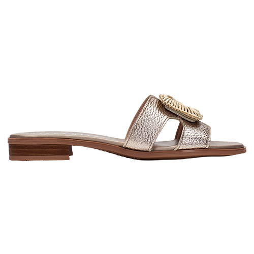 Hispanitas Ladies Mules - HV253881 - Gold/Metallic