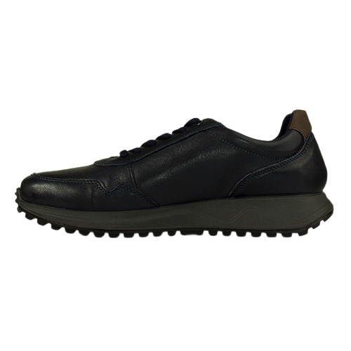 Navy leather trainer on a white background