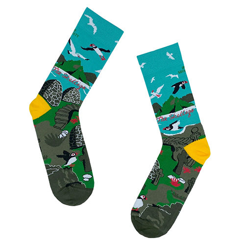 Socksciety Socks - The Skelligs - Green / Multi