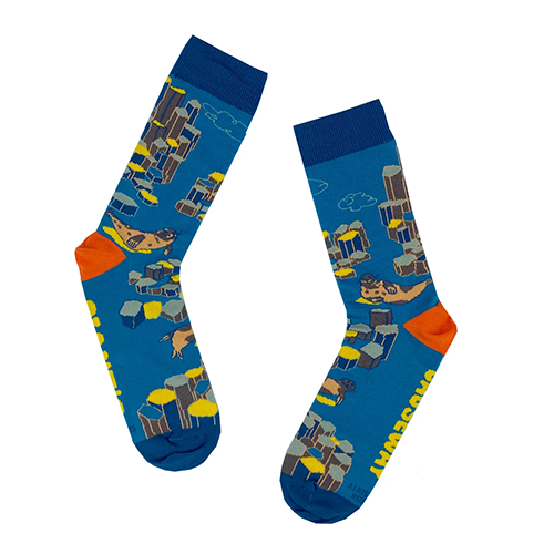 Socksciety Socks - Giants Causeway - Blue