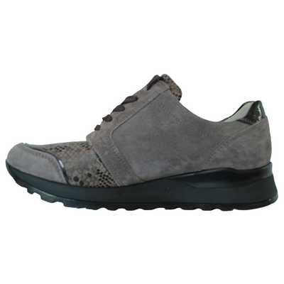 Waldlaufer Lace Trainer with Zip - H64007 - Taupe